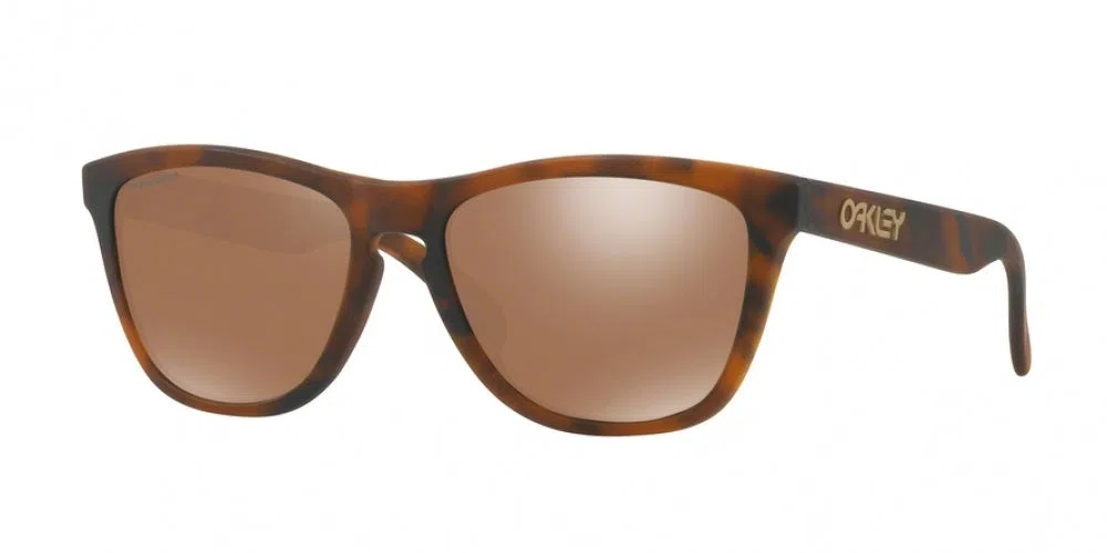 Oakley Frogskins 9013 Sunglasses - view 2